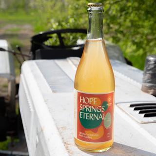 Dominion 2020 Hope Springs Eternal (750mL)